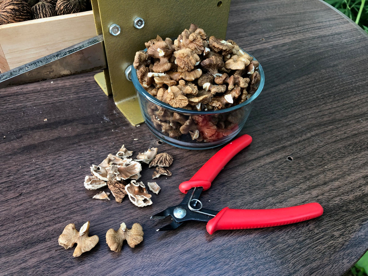 Buy Shears!! | Black Walnut & Hickory Crackers | Grandpa's Goody