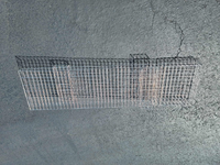 Special Sale - Black Walnut Washing Cage - Free Shipping