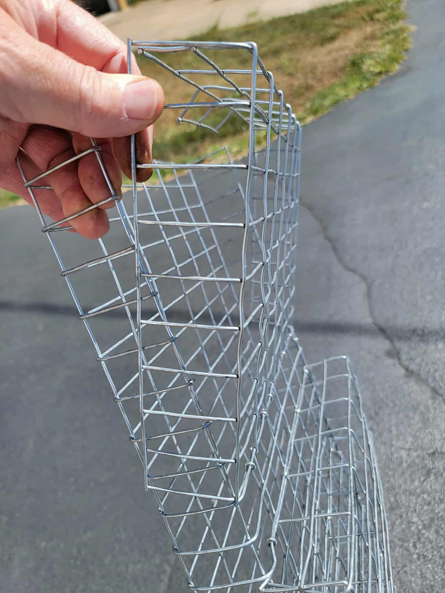 Walnut Washing Black Walnut Cage | Fast Cleaning Drum for Hull Removal | Black Walnut ...